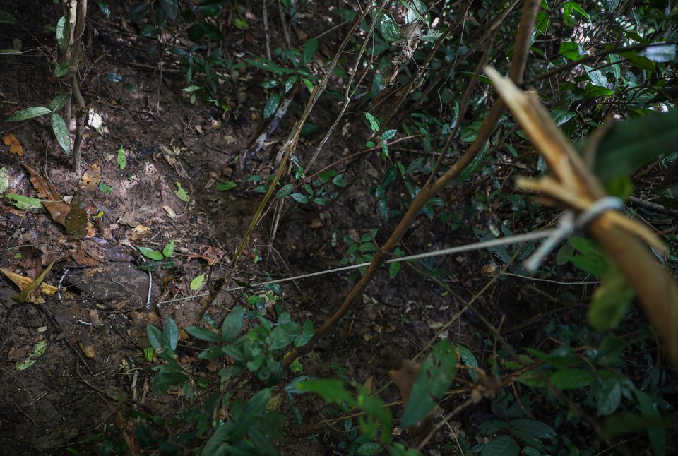 A snare waits for unsuspecting wildlife in Cambodia’s Phnom Tnout Wildlife Sanctuary. Photo by Anton L. Delgado for Southeast Asia Globe and The Straits Times
