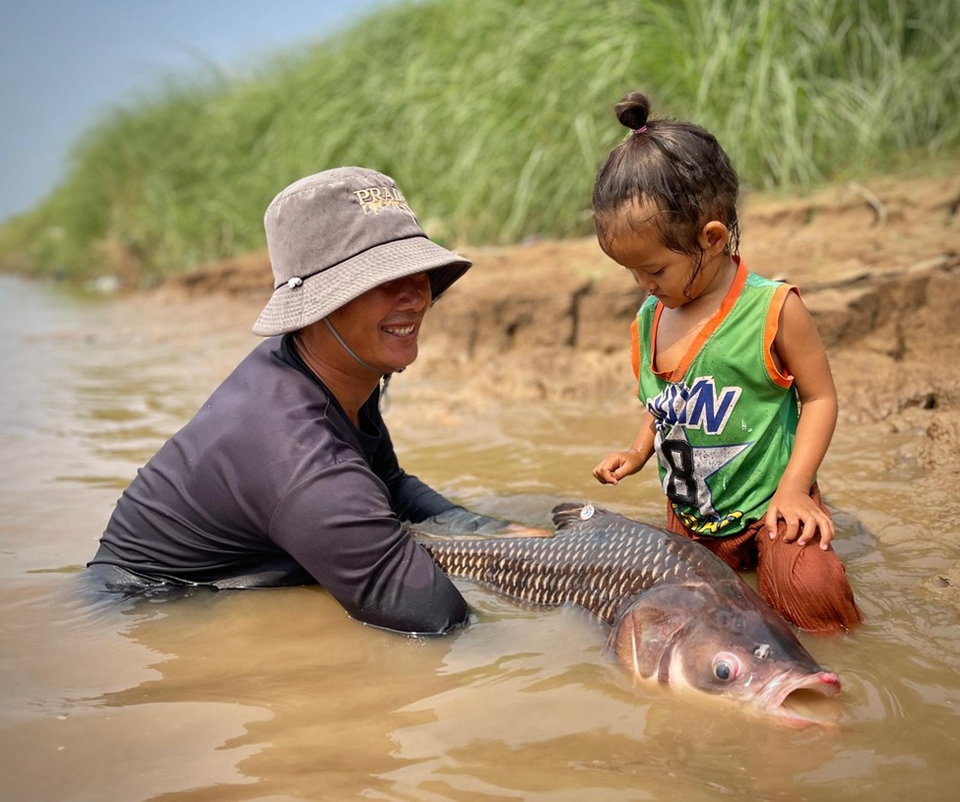 Mem Fish Rescue 34 Rescued Endangered Fish Released Into Mekong River | Kiripost